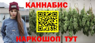 Альфа ПВП Можга