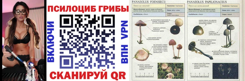 кракен ССЫЛКА  купить наркотики сайты  Еманжелинск  Псилоцибиновые грибы ЛСД 