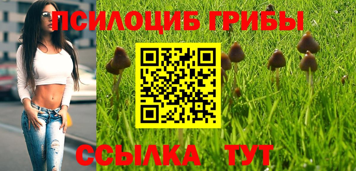 Галлюциногенные грибы прущие грибы Еманжелинск