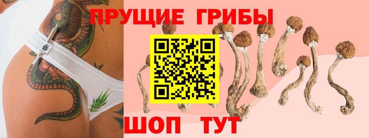 Галлюциногенные грибы прущие грибы  где купить наркотик  Еманжелинск  Вход с VPN 